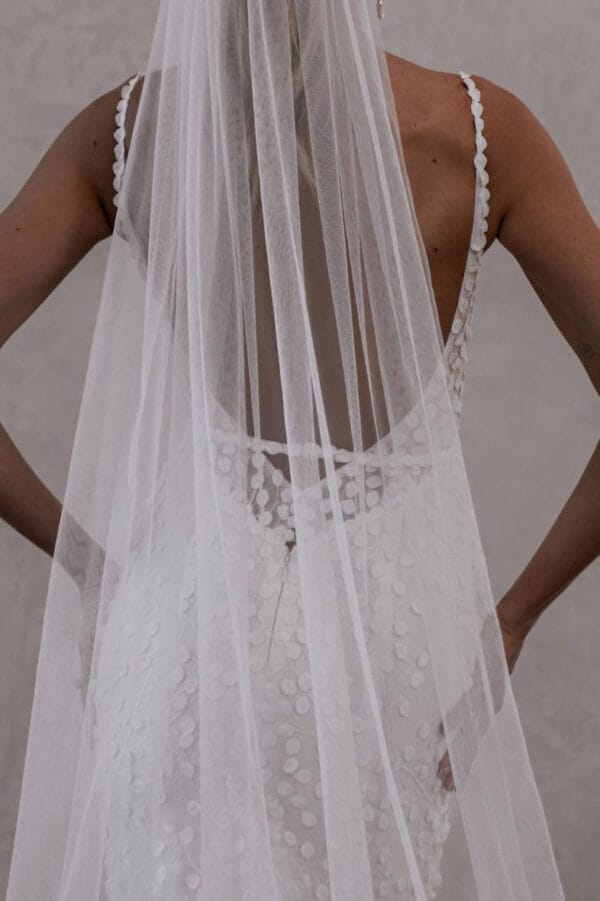 Robe Louie