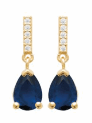 Boucles d'Oreille Antigonia